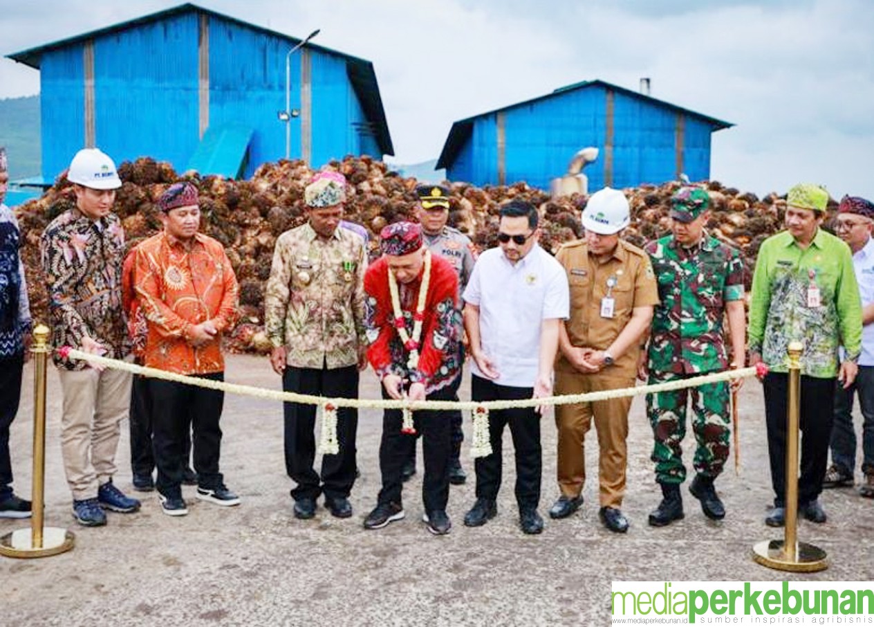 Pabrik Minyak Makan Merah, Solusi Masalah Minyak Goreng