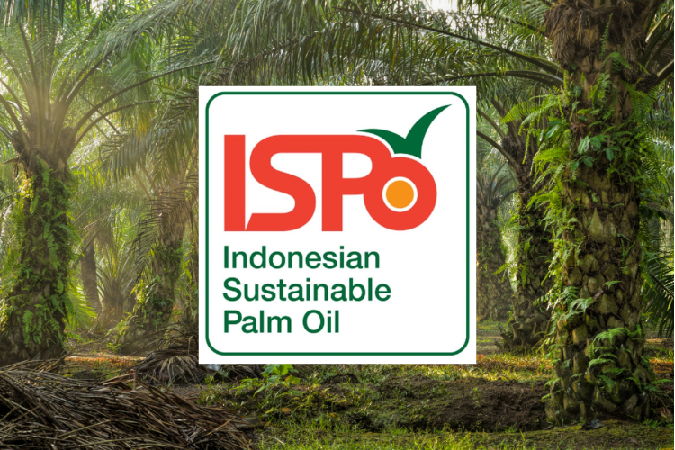 Kementan Perkuat ISPO, Fokuskan Sawit ke Industrialisasi Berkelanjutan