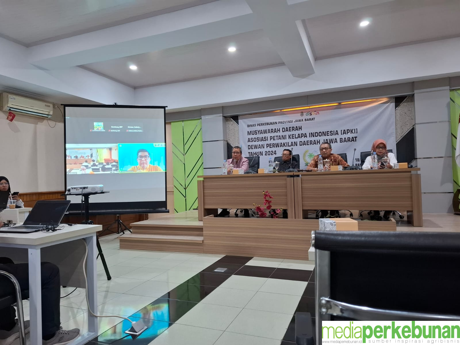Harga Kelapa Bulat Naik tapi Tidak Dinikmati Petani, Ini Solusinya!