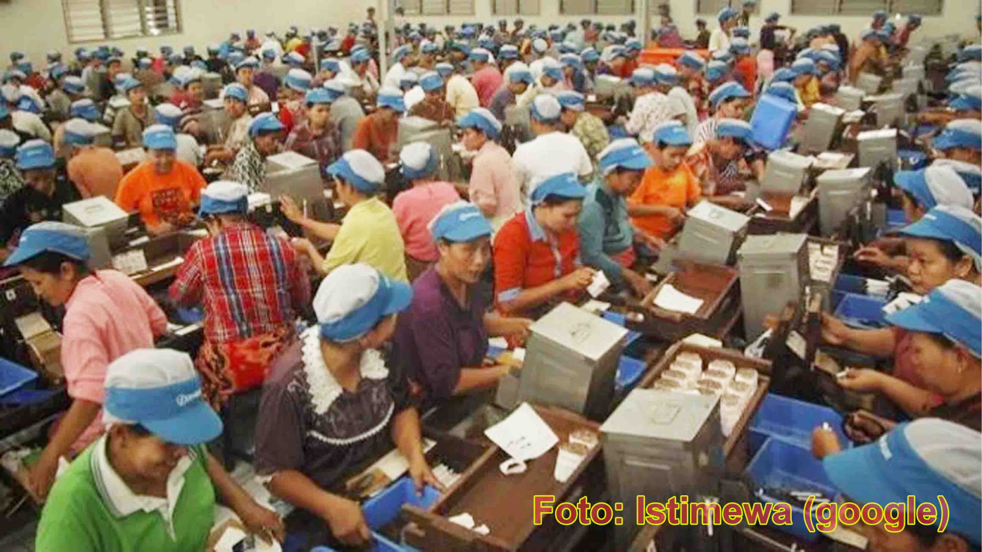 PTPN I Regional 4 Targetkan Produksi Tembakau  Seribu Ton