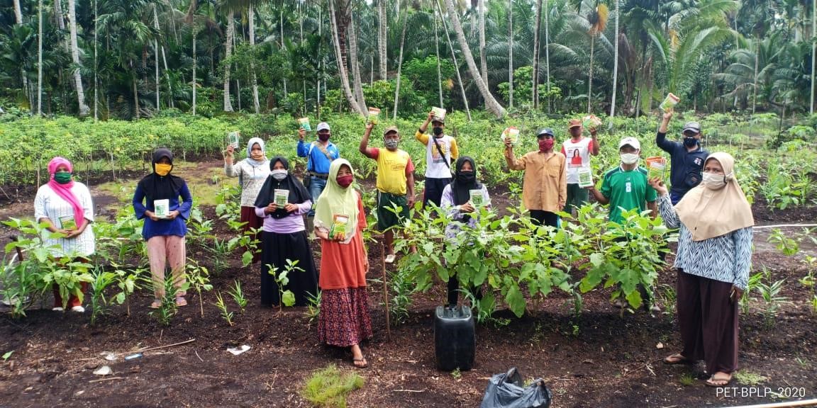 Cegah Karhutla Dapat Manfaat dari Jahe Merah