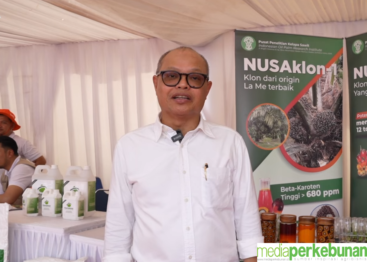 Ada Jejak Perjuangan Dua Pihak dalam NUSAKlon 1 dan 2