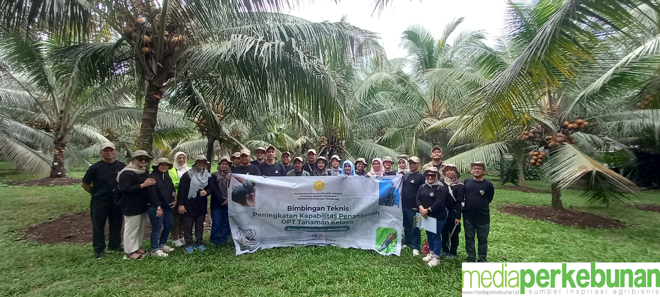 Upaya Kementan Tingkatkan Kapabilitas POPT Perkebunan Kelapa