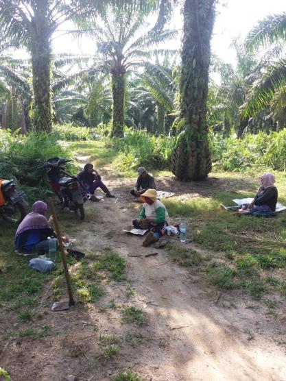 DITENGAH PANDEMI COVID 19, OPERASIONAL KEBUN SAWIT PERUSAHAAN DAN PETANI MASIH NORMAL