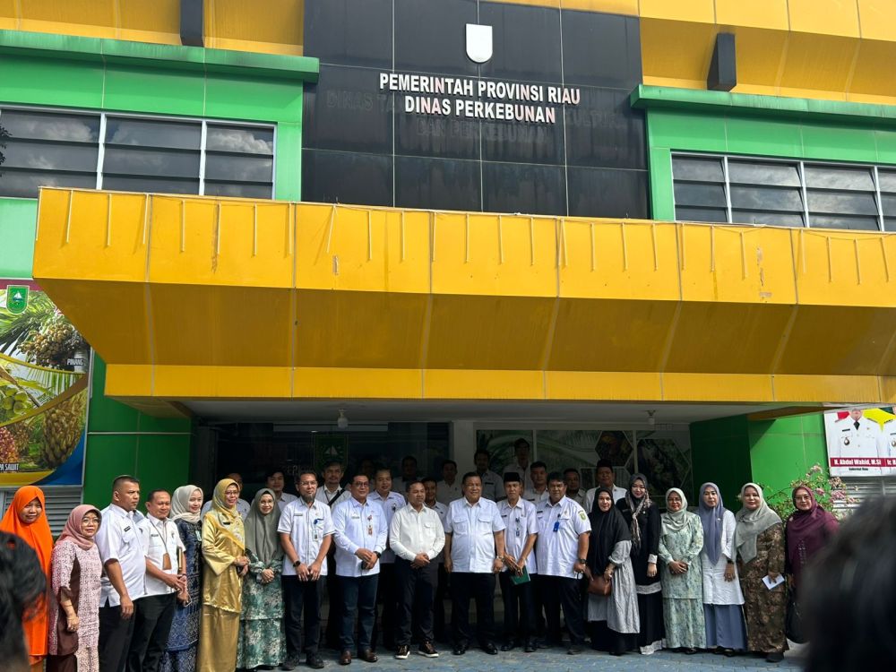 Jadi Raja Sawit Nasional, Provinsi ini Bakal Geber BUMD Perkebunan