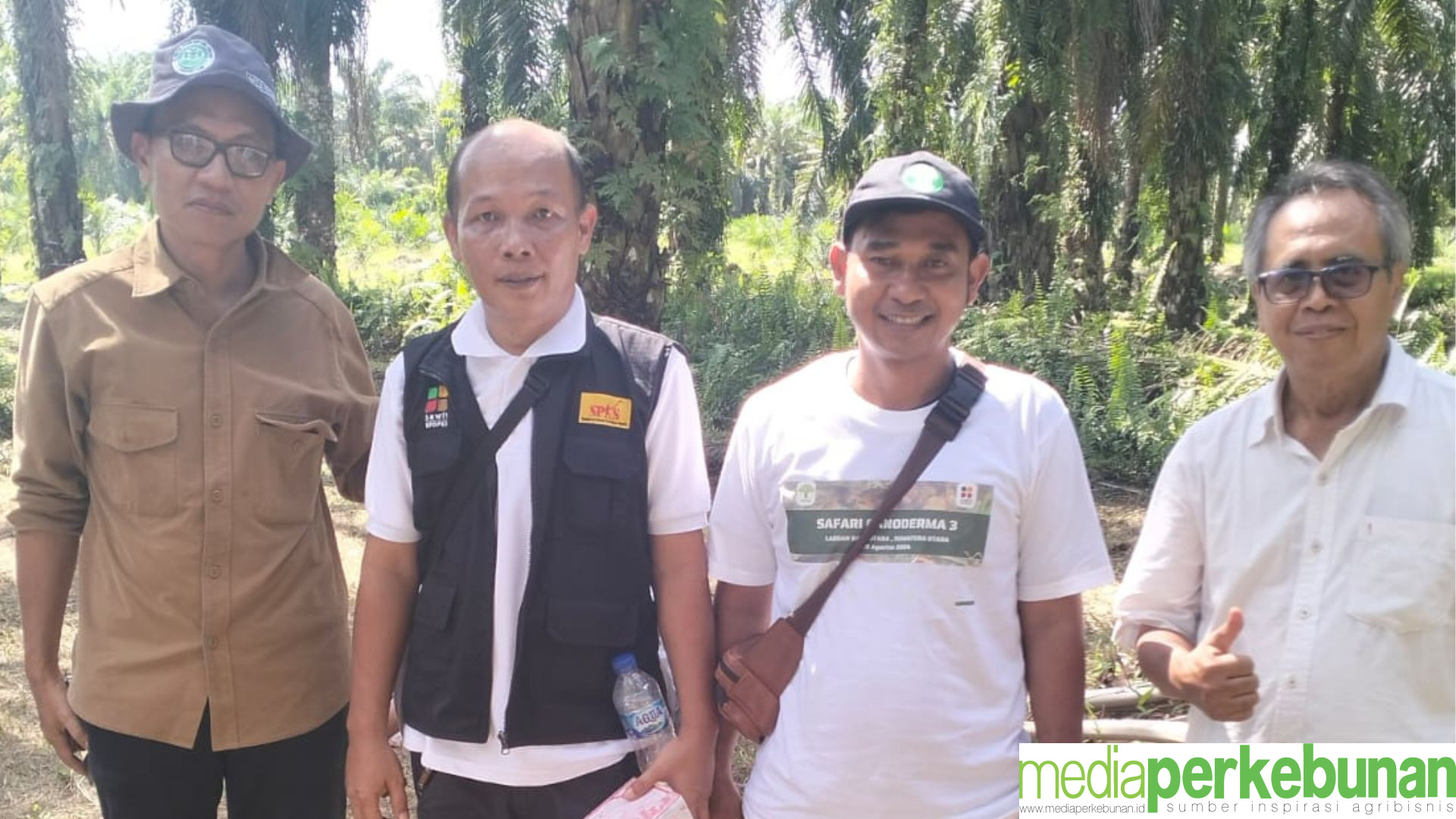 Menjerat Komes Alias Ganoderma yang Telah Merontokan Kelapa Sawit