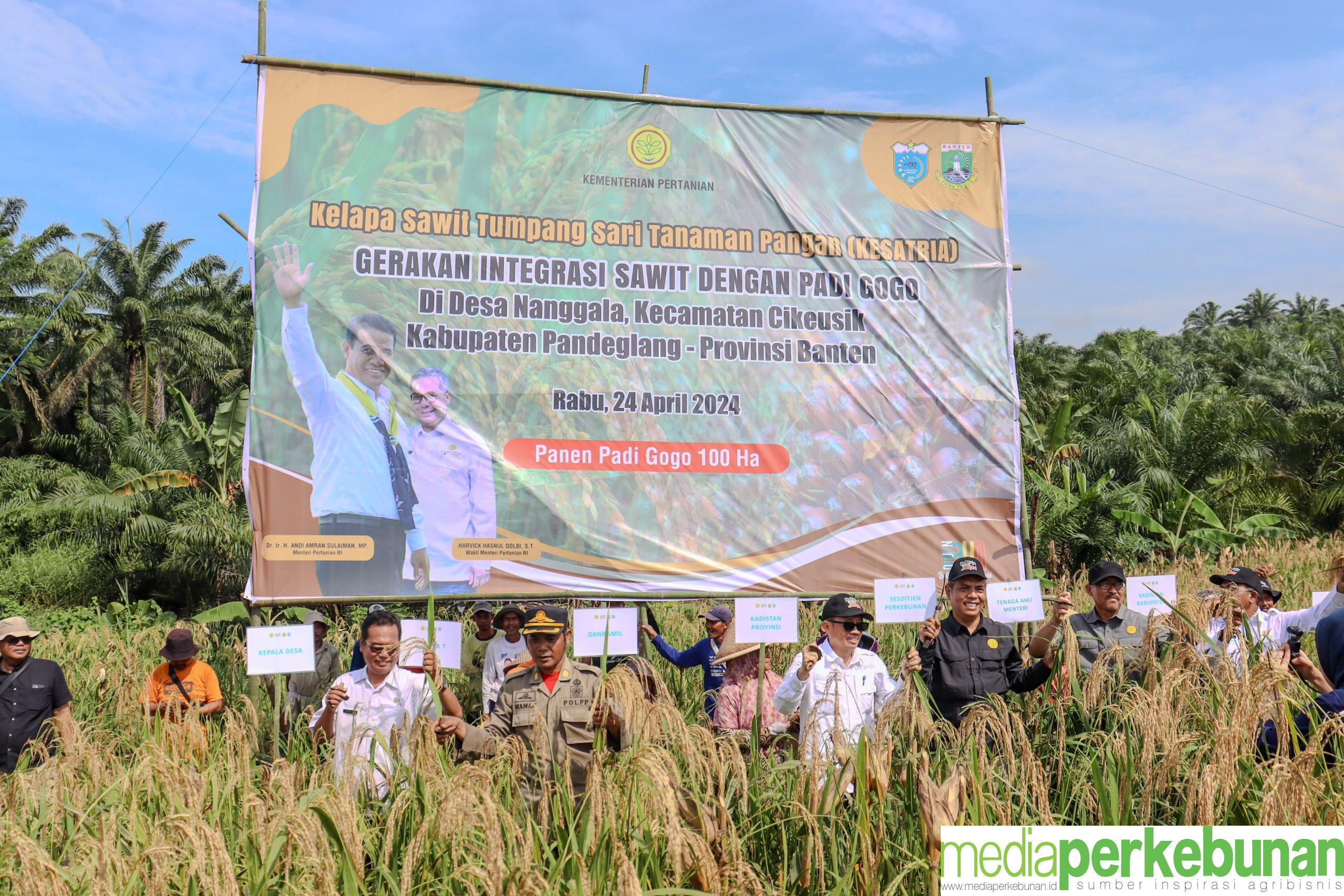 Panen Ganda, Petani Banten Banjir Untung PSR dan Kesatria