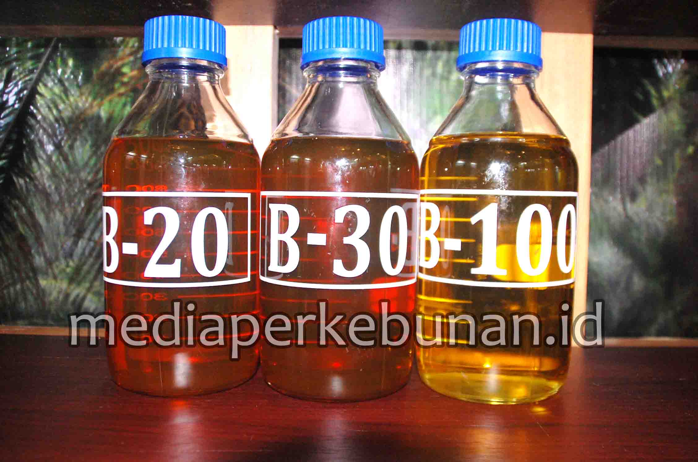 Biodiesel Menghemat Devisa