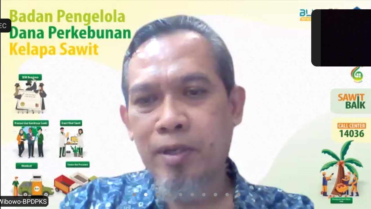 Bangun UKMK Sawit Papua Barat,  BPDPKS gandeng  UGM