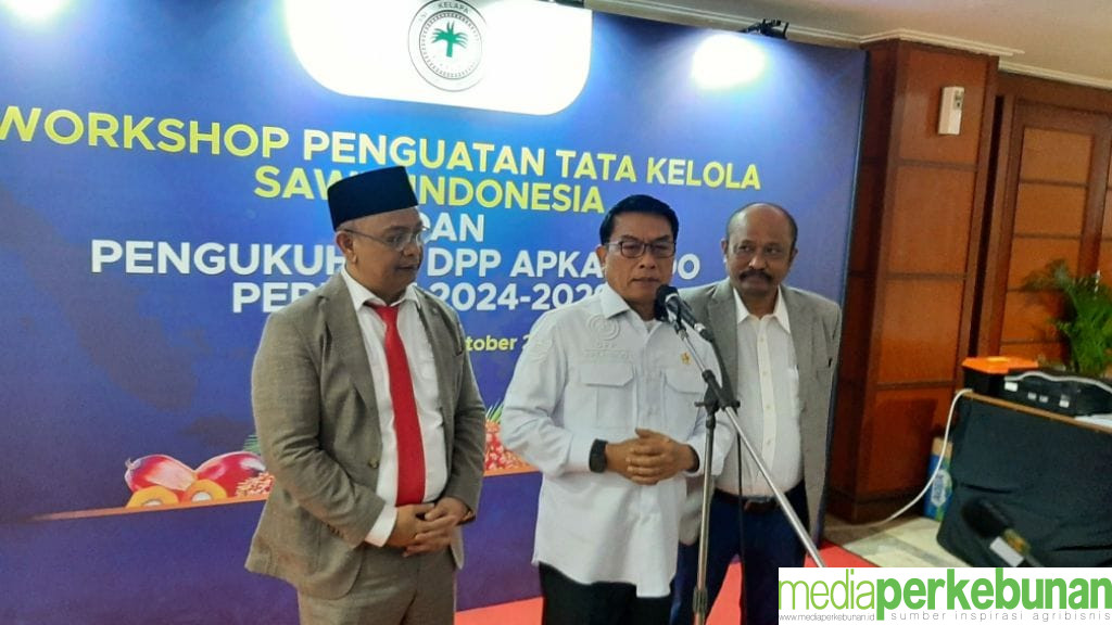 Rendahnya Poduktivitas Sawit Rakyat Mesti Dicari Solusinya