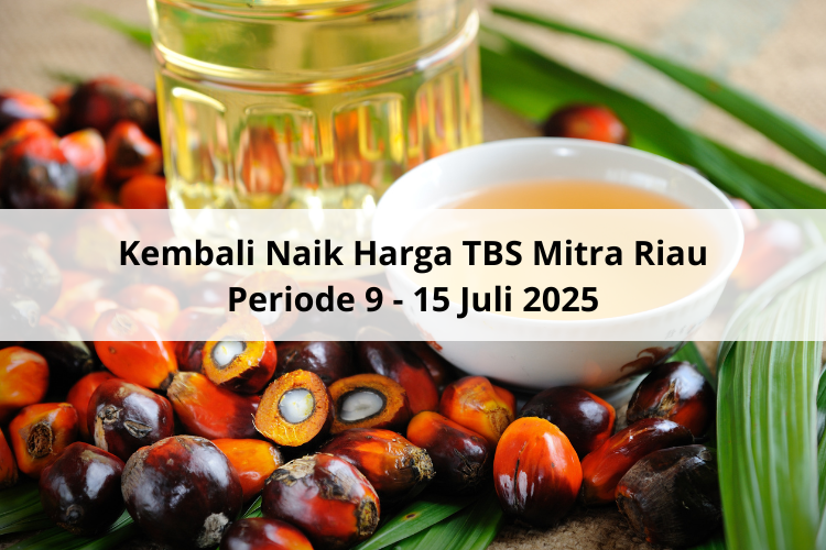 Kembali Naik Harga TBS Mitra Riau Periode 9 – 15 Juli 2025