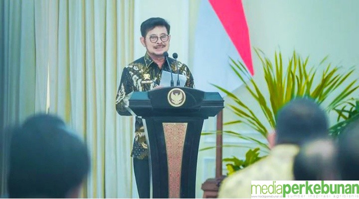 SINERGI BERBAGAI PIHAK DEMI WUJUDKAN SAWIT BERKELANJUTAN INDONESIA