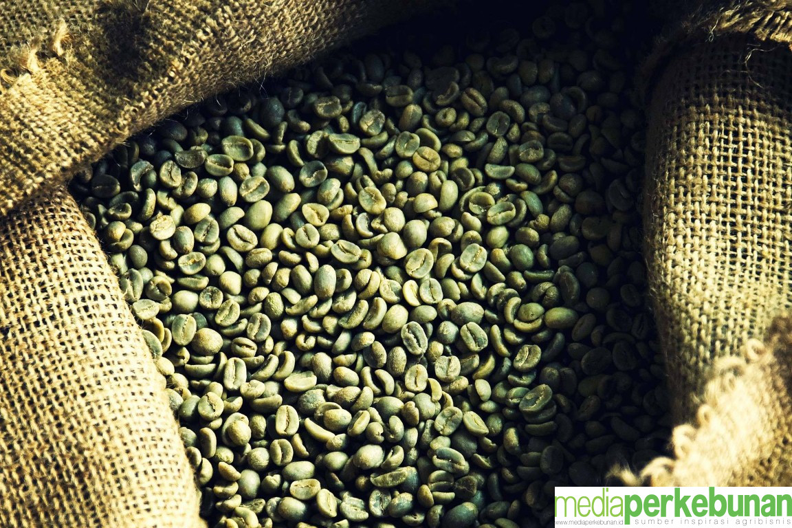Harga Kopi Arabika Februari 2024 Rp 70 Ribu