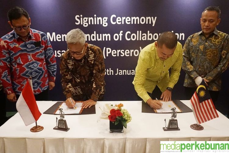 Sinergi BUMN Indonesia-Malaysia Perkuat Daya Saing CPO Dunia