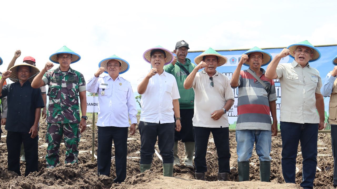 Kementan Dorong Percepatan Swasembada Gula Melalui Program Bongkar Ratoon dan Perluasan Areal Tebu di Brebes