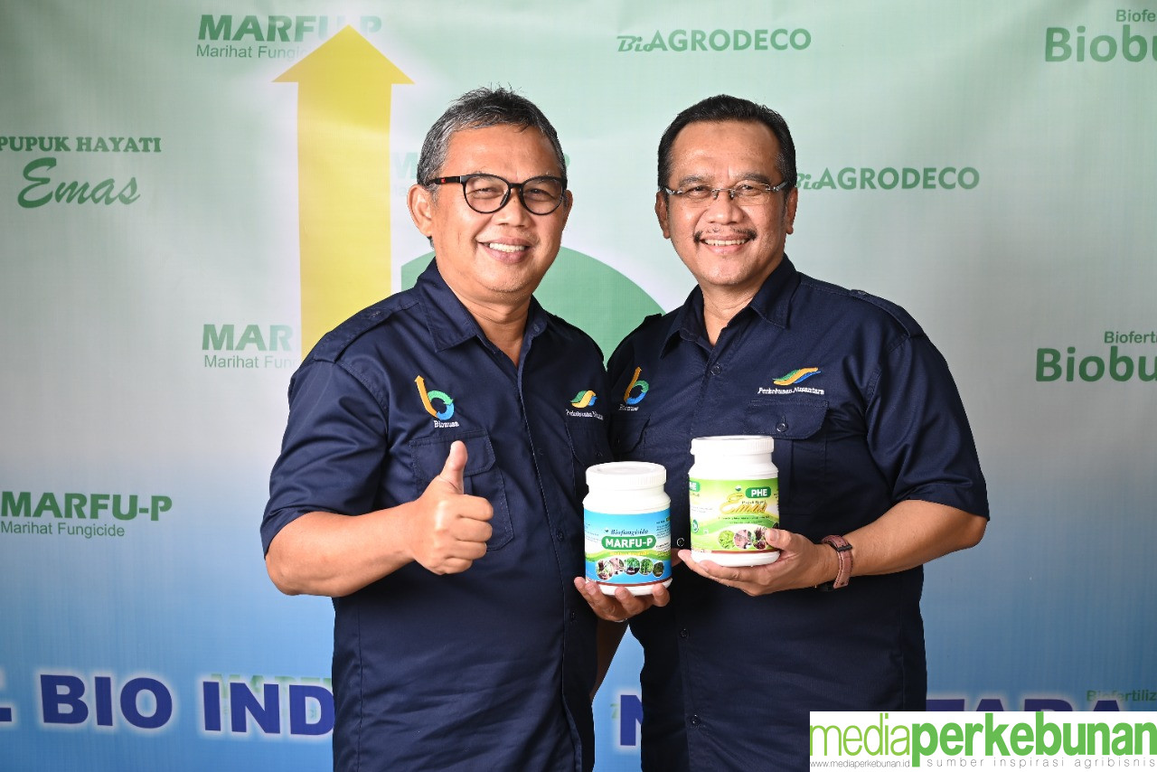 MARFU-P  DARI BIONUSA CEGAH GANODERMA