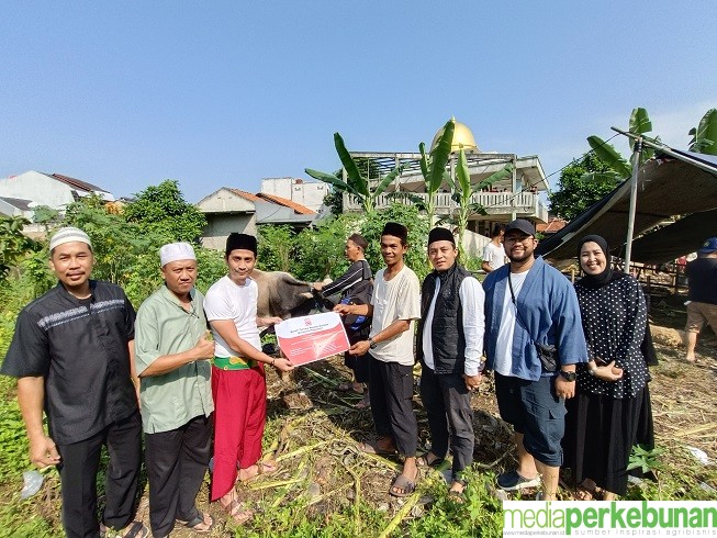 Minamas Plantation Kurban 170 Ekor Sapi untuk Masyarakat Sekitar