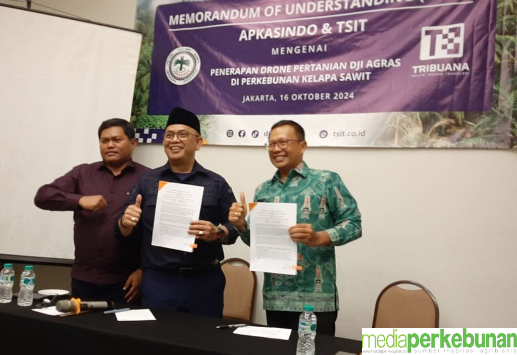 Teknologi Pemetaan Membantu Petani Sawit Terkait EUDR